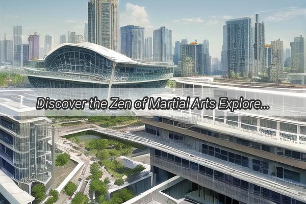 Discover the Zen of Martial Arts Explore Guangzhous Premier Tai Chi Sword Boutique